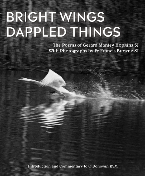 Cover image for book Bright Wings, Dappled Things