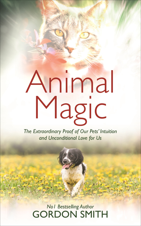 Cover image for book Animal Magic