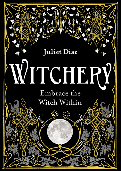 Cover image for book Witchery