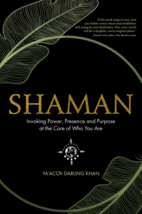 Cover image for book Shaman