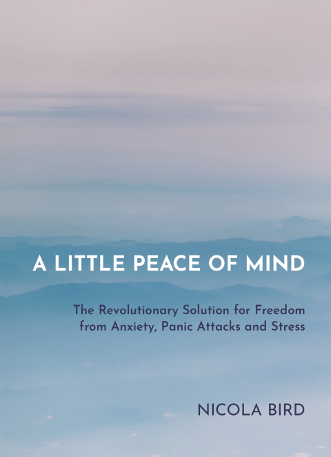 Cover image for book A Little Peace of Mind