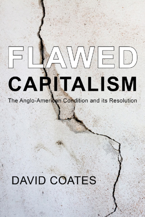 Flawed Capitalism 