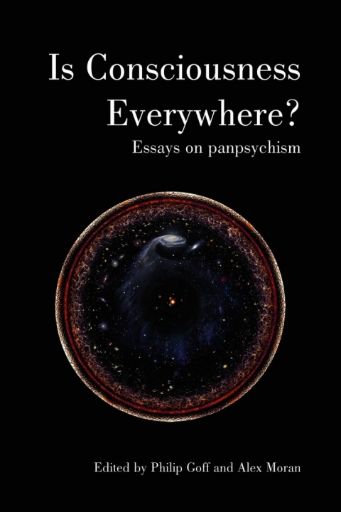Cover image for book Is Consciousness Everywhere?