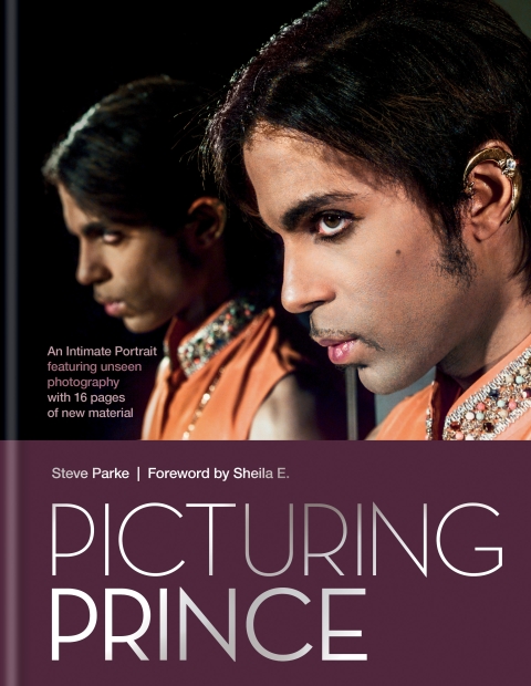 Cover image for book Picturing Prince