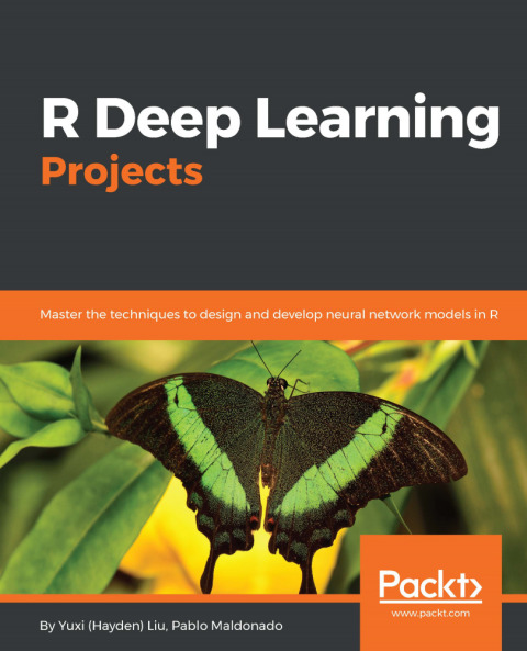 Cover image for book R Deep Learning Projects