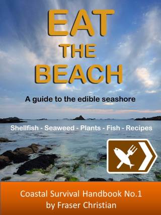 Eat the Beach
