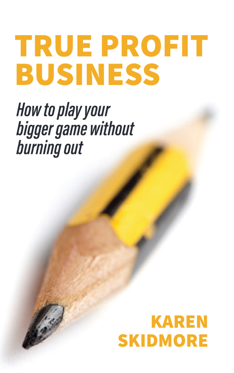 Cover image for book True Profit Business