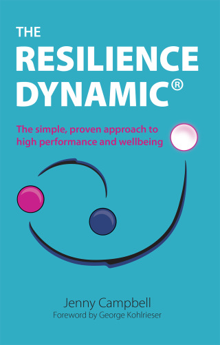 The Resilience Dynamic