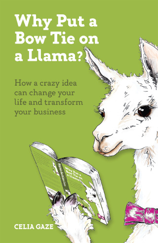 Why Put a Bow Tie on a Llama?