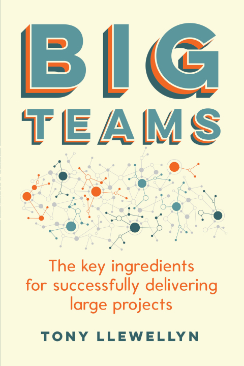 Cover image for book Big Teams
