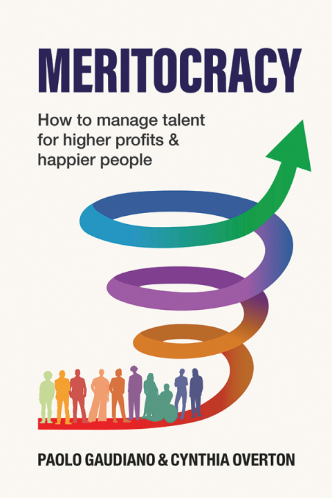 Cover image for book MERITOCRACY