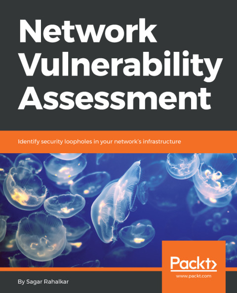 Cover image for book Network Vulnerability Assessment