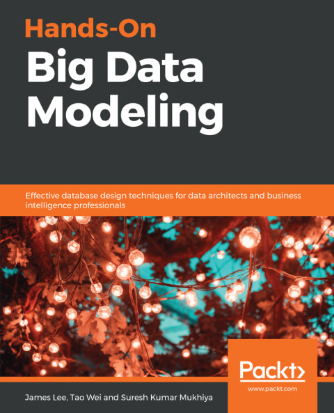 Cover image for book Hands-On Big Data Modeling