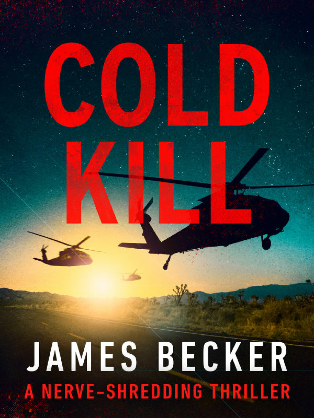 Cold Kill (eBook)