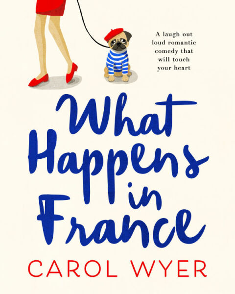 Cover image for book What Happens in France