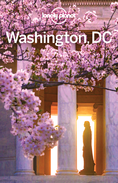Cover image for book Lonely Planet Washington, DC