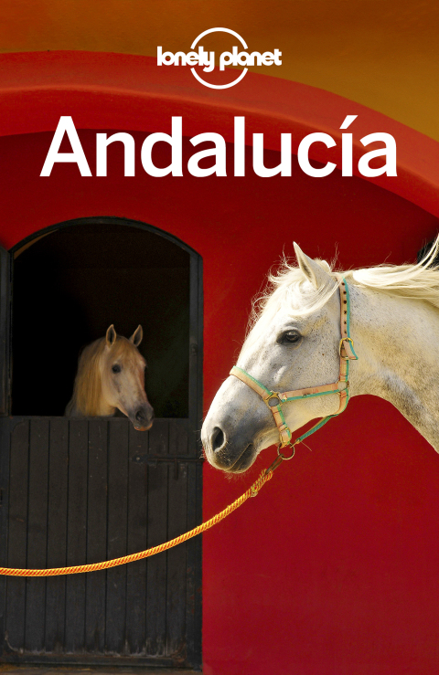 Cover image for book Lonely Planet Andalucia