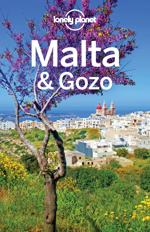 Cover image for book Lonely Planet Malta & Gozo