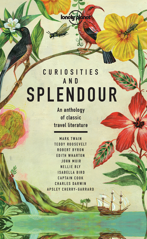 Cover image for book Curiosities and Splendour