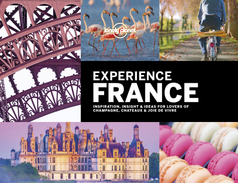 Cover image for book Lonely Planet Experience France