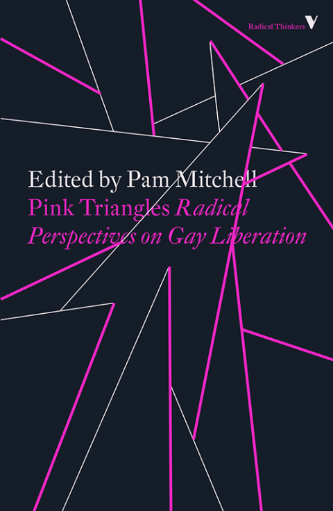 Cover image for book Pink Triangles