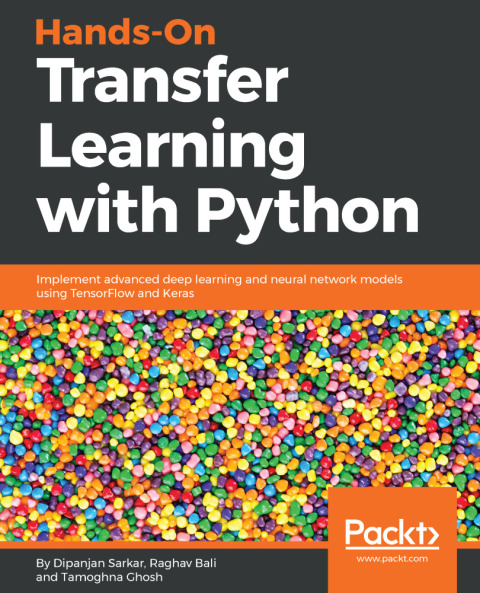 Cover image for book Hands-On Transfer Learning with Python