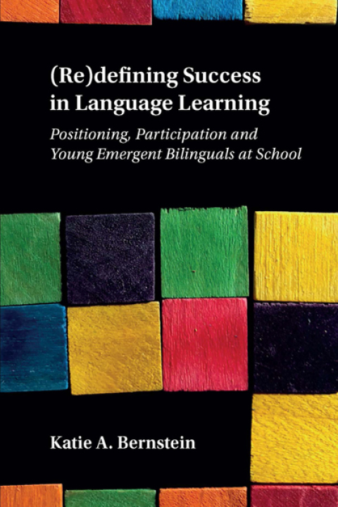 Cover image for book (Re)defining Success in Language Learning