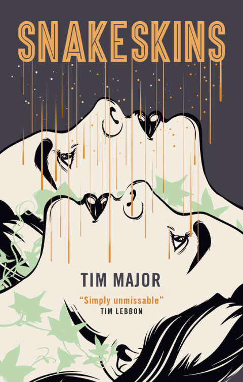 Cover image for book Snakeskins