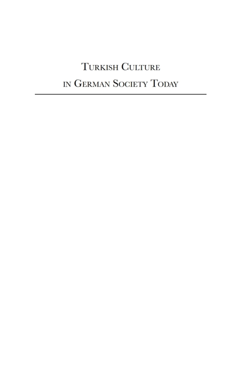 Cover image for book Turkish Culture in German Society