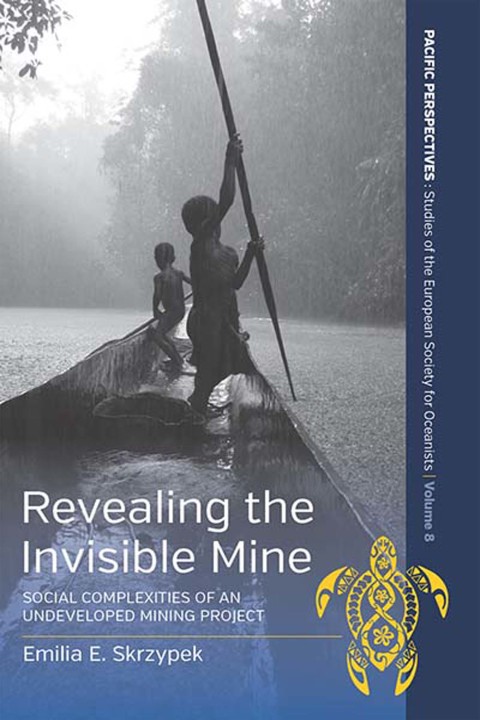Cover image for book Revealing the Invisible Mine