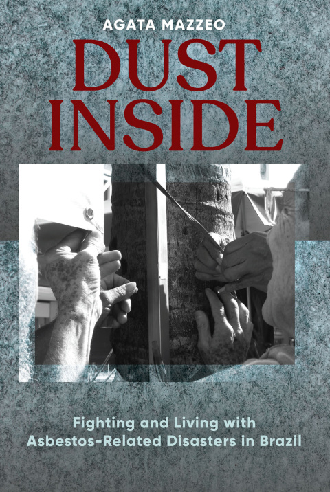 Cover image for book Dust Inside