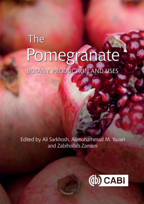 Cover image for book The Pomegranate