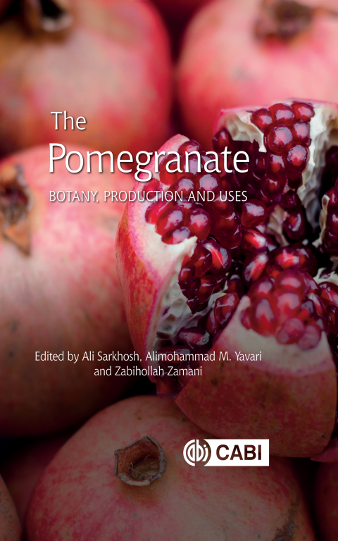 Cover image for book The Pomegranate