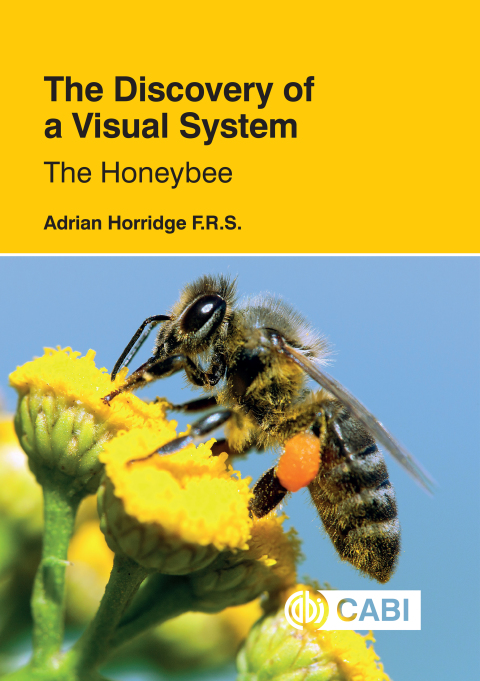 Cover image for book The Discovery of a Visual System - The Honeybee