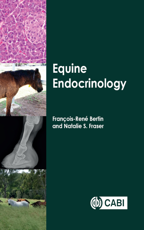 Equine Endocrinology 