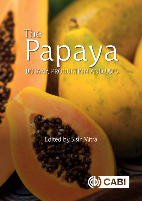 Cover image for book The Papaya