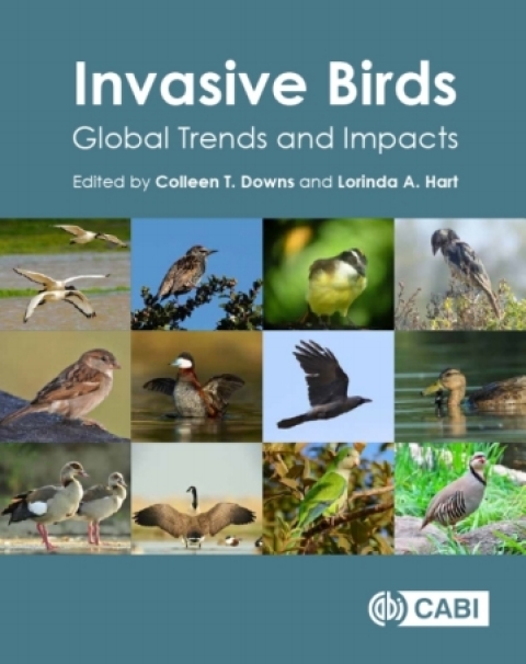 Cover image for book Invasive Birds