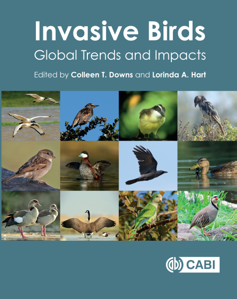 Cover image for book Invasive Birds