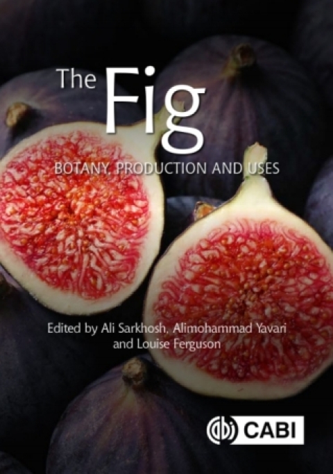 Cover image for book The Fig