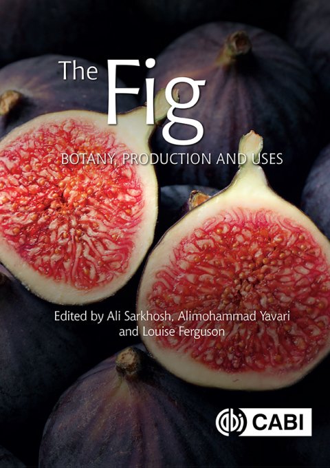 Cover image for book The Fig