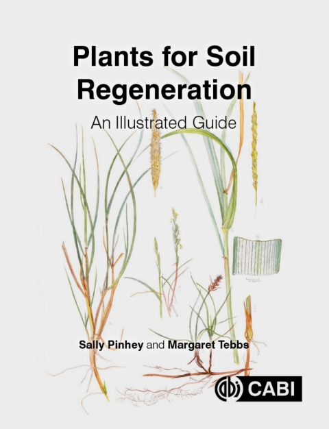 Cover image for book Plants for Soil Regeneration
