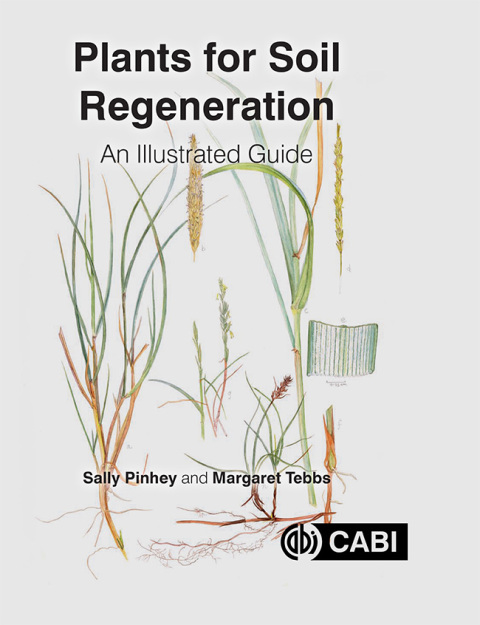 Cover image for book Plants for Soil Regeneration