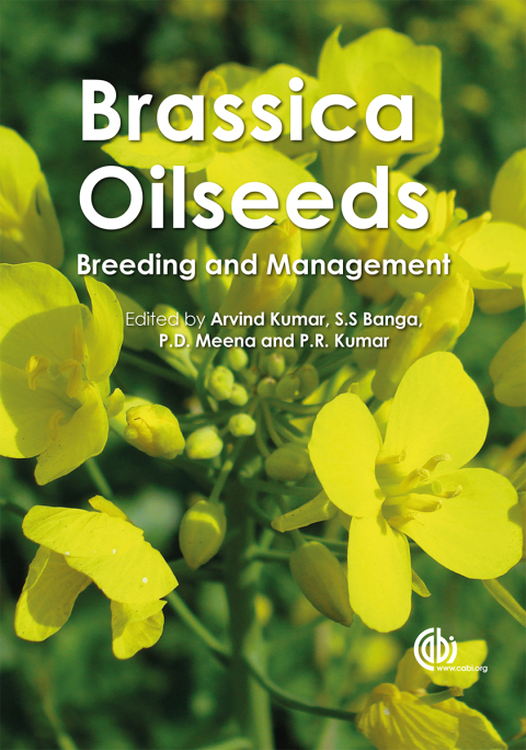 Brassica Oilseeds 