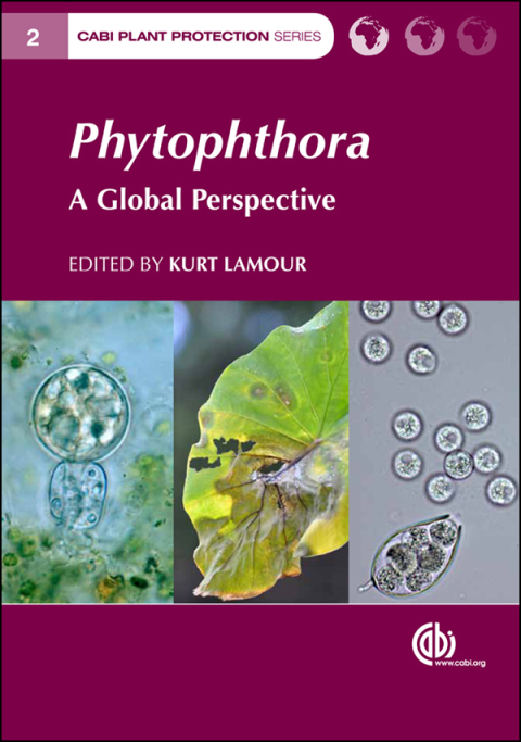 Phytophthora 