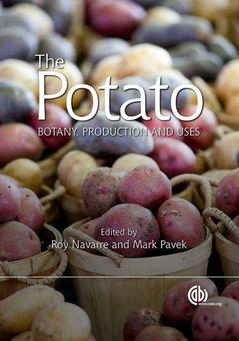 Cover image for book Potato