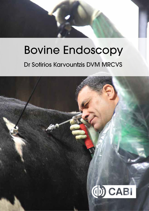 Cover image for book Bovine Endoscopy