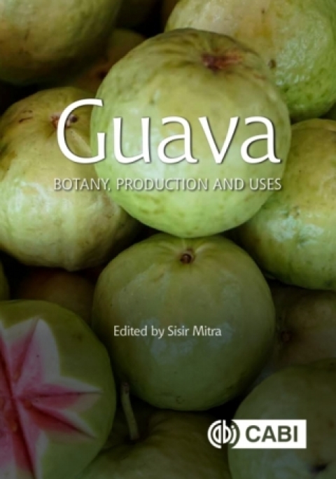 Cover image for book Guava