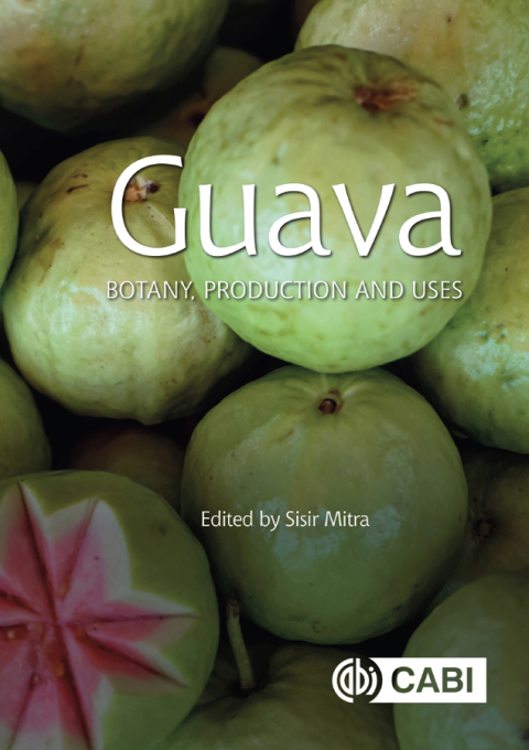 Cover image for book Guava