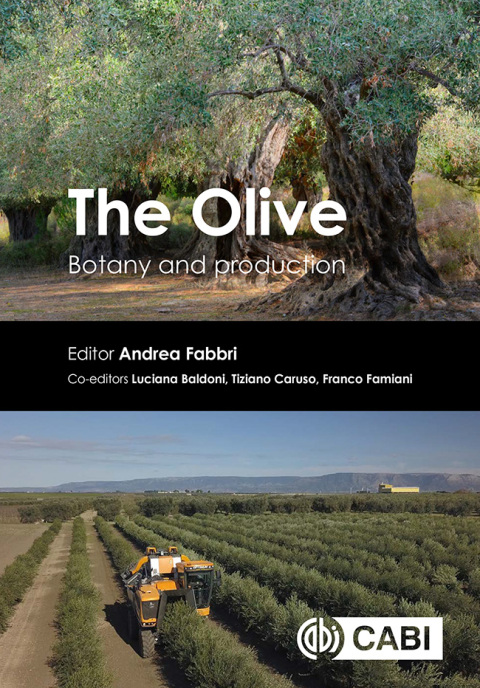 Cover image for book The Olive