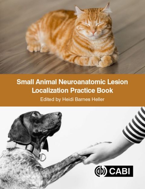 Cover image for book Small Animal Neuroanatomic Lesion Localization Practice Book